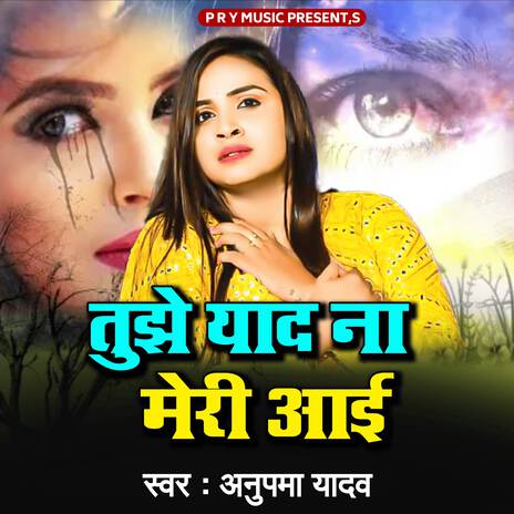 Tujhe Yad Na Meri Aai | Boomplay Music