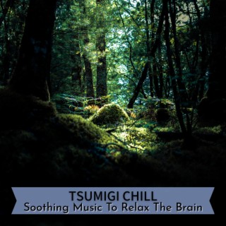 Soothing Music To Relax The Brain