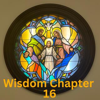 Wisdom Chapter 16