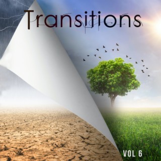 Transitions Vol 6