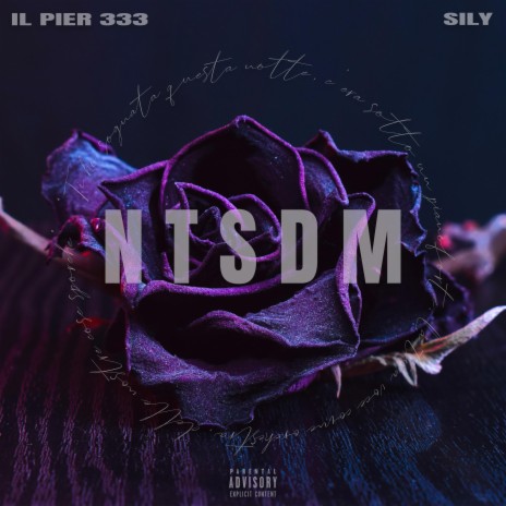 NTSDM ft. Sily | Boomplay Music