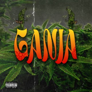 Ganja