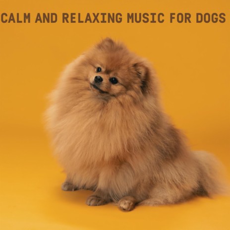 Calm Tunes for My Dog | Boomplay Music