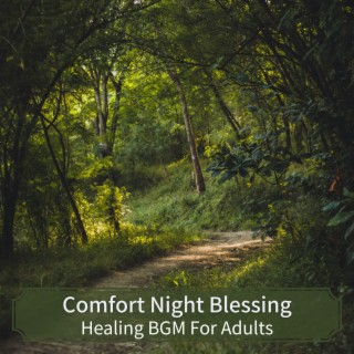 Healing BGM For Adults