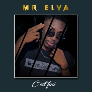 Mr Elva