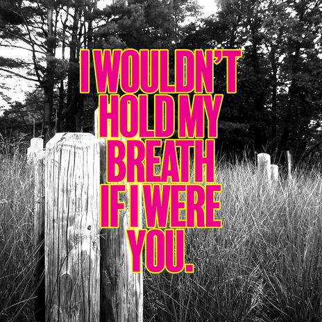 I Wouldn't Hold My Breath If I Were You | Boomplay Music