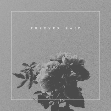 Forever Said | Boomplay Music