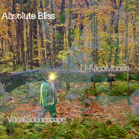Absolute Bliss (Vocal Soundscape) | Boomplay Music