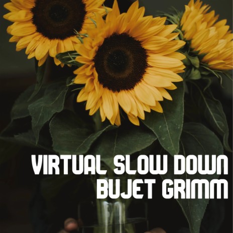 Virtual Slow Down | Boomplay Music