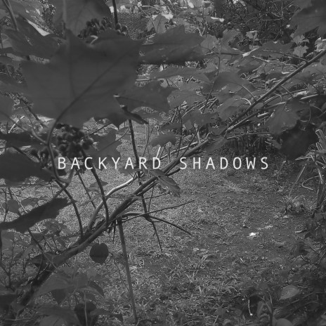 Backyard Shadows | Boomplay Music