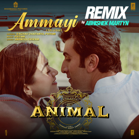 Ammayi Remix ft. Pritam & Abhishek Martyn | Boomplay Music