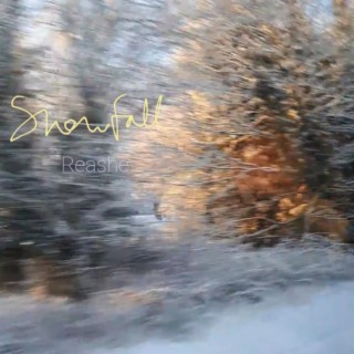 Snowfall