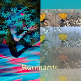 remnants