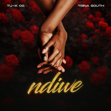Ndiwe ft. Trina South | Boomplay Music
