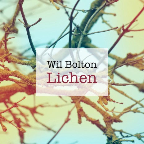 Lichen | Boomplay Music