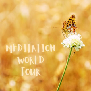 Meditation World Tour