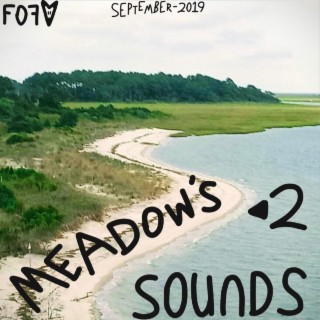 Meadow's Sound, Vol. 2