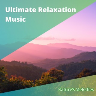 Ultimate Relaxation Music: Perfect for Alleviating Stress and Anxiety