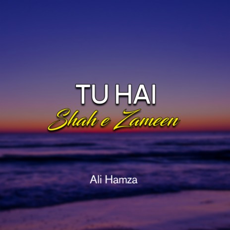 Tu Hai Shah e Zameen | Boomplay Music