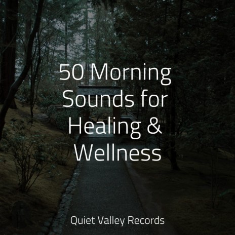 Meditating Music ft. Yoga Namaste & Raindrops Sleep | Boomplay Music