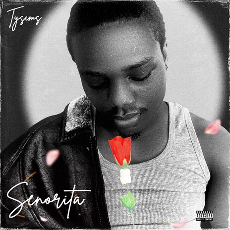 Senorita | Boomplay Music