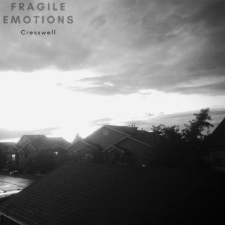Fragile Emotions | Boomplay Music