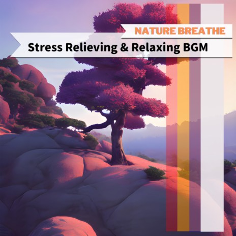 Aroma's for Relaxation | Boomplay Music