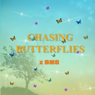 Chasing Butterflies lyrics | Boomplay Music