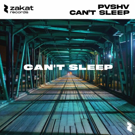 Can't Sleep | Boomplay Music