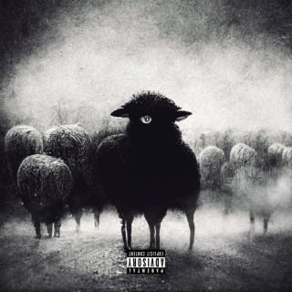 Mouton Noir lyrics | Boomplay Music