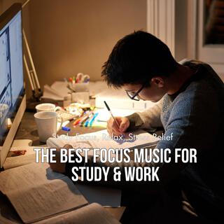 The Best Focus Music for Study & Work, Vol. 01 (Study Focus, Relax, Stress Relief)