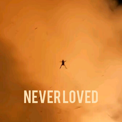 NEVER LOVED | Boomplay Music