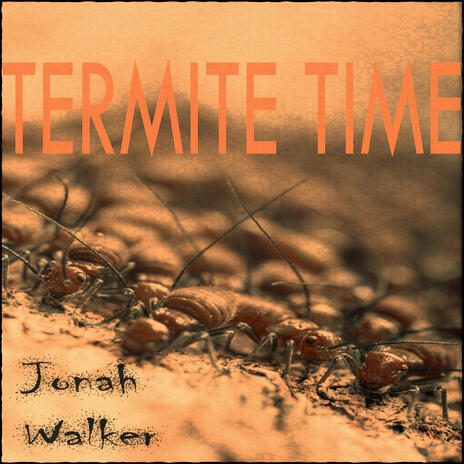 Termite Time | Boomplay Music