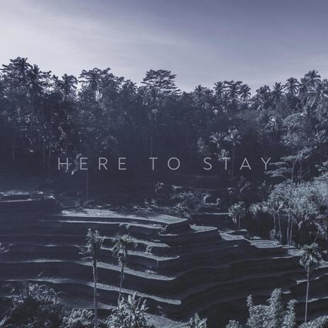 Here To Stay | Boomplay Music