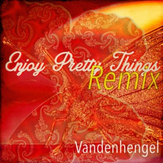 Enjoy Pretty Things (Remix)