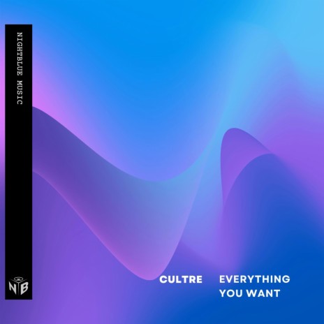 Everything You Want | Boomplay Music
