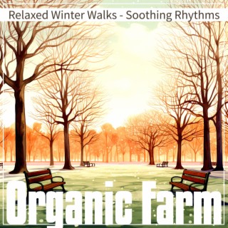 Relaxed Winter Walks - Soothing Rhythms