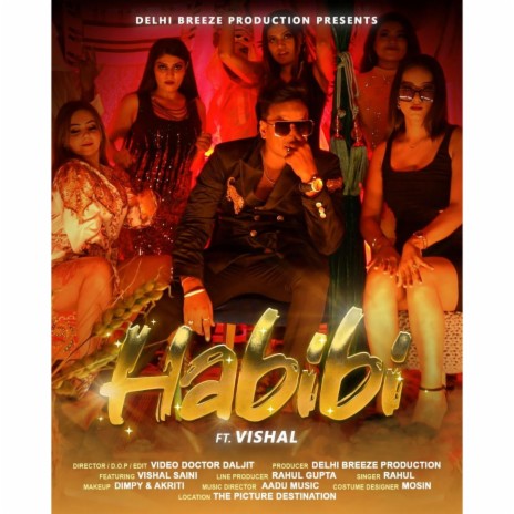 HABIBI ft. Vishal Saini | Boomplay Music