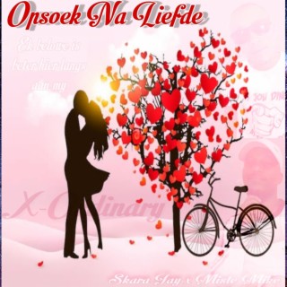 Opsoek Na Liefde