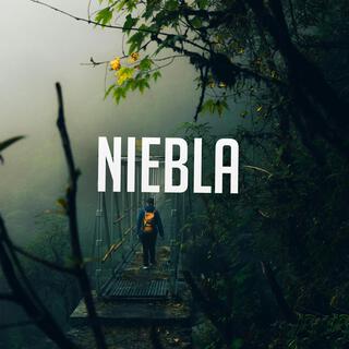 Niebla