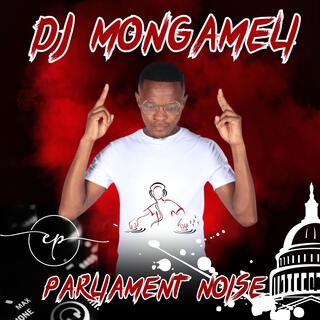 Parliament Noise