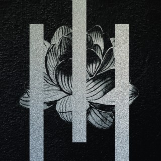 Lotus Flower / with Dimond Saints