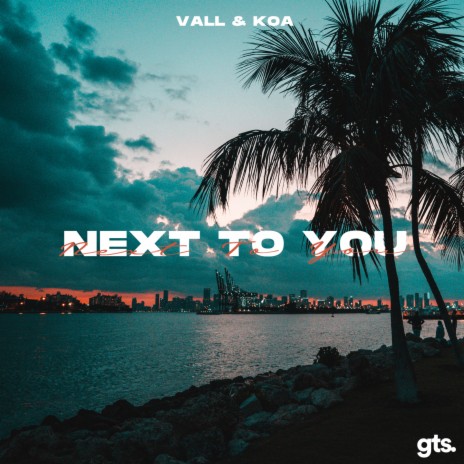 Next to You ft. Koa | Boomplay Music