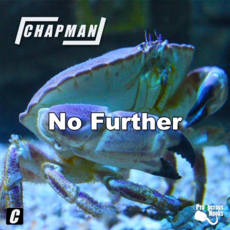 No Further | Boomplay Music