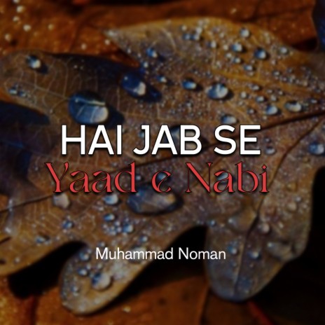 Hai Jab Se Yaad e Nabi | Boomplay Music