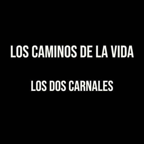 Los Caminos de La Vida | Boomplay Music