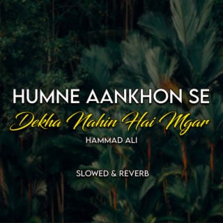 Humne Aankhon Se Dekha Nahin Hai Mgar Lofi