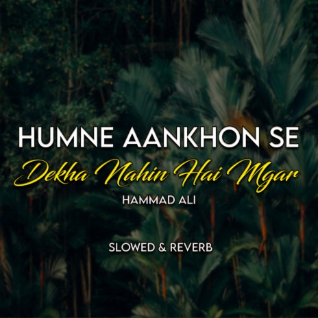 Humne Aankhon Se Dekha Nahin Hai Mgar Lofi | Boomplay Music