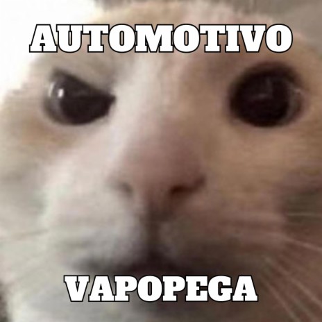 AUTOMOTIVO VAPOGEGA