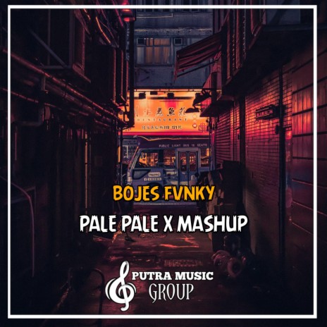 Pale Pale / Mashup (Remix) | Boomplay Music